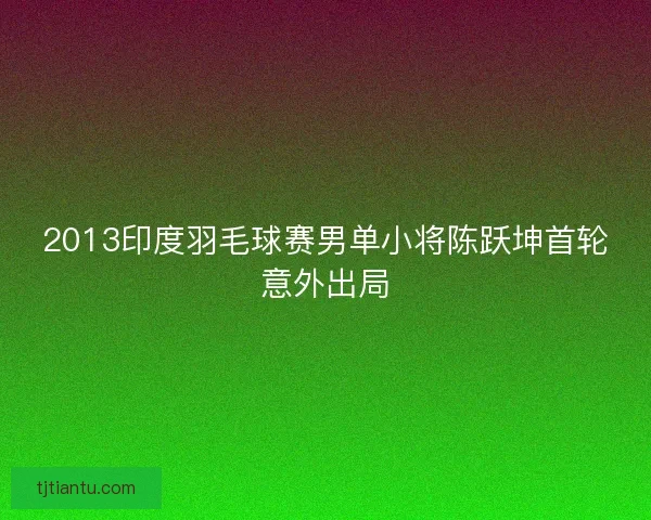 2013印度羽毛球赛男单小将陈跃坤首轮意外出局