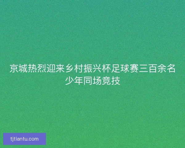 京城热烈迎来乡村振兴杯足球赛三百余名少年同场竞技 京城热烈迎来乡村振兴杯足球赛三百余名少年同场竞技